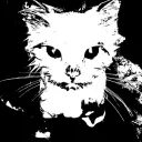 catgirls place