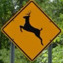 deer crossing - 18+ art hangout