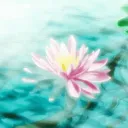 ❀Lotus❀ロータス