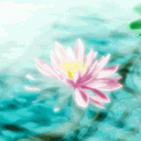 ❀Lotus❀ロータス