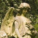 The Mossburn Discord server icon