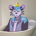 The Opossum Garbage Pile