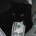 Ravens United | former ASIA #9 (disbanded)