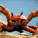 The Crab Rave