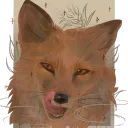 ׂ 𝜗˚ ₊ 🍙 ☆Foxes' court‧ׂ 𝜚
