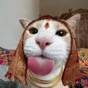 Indian Palace