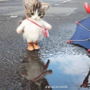 Da ClerB Discord server icon