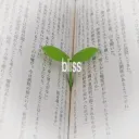 bliss    —    [ transfered ]