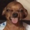 KYL icon