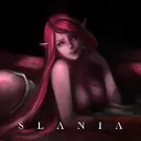 A Slania Server