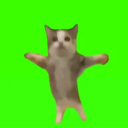 見せあい部屋 Discord server icon