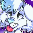 🦊 ಄ Liski nivera 🌈