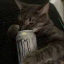 𝑆𝑇𝑅𝐸𝐹𝐴 𝐶𝐻𝐼𝐿𝐿𝑈