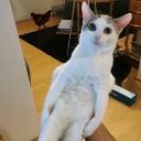 Talia's Secret Place  ♡