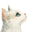 Mew Café 2