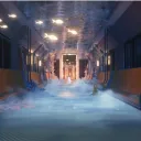 Dragonfly Dream Escape Discord server icon