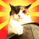 Kisa Wisa Discord server icon