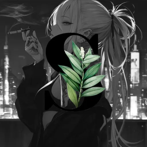 sᴏꜰᴛᴏɴᴍᴏᴏɴ 🌙 — мониторинг Discord сервера, статистика и рейтинг
