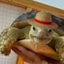 TURTLECRAFT