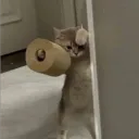 Merhaba