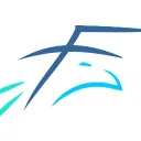 FELOW Esports