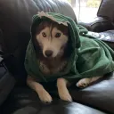 ⋅˚₊‧ kokonation ‧₊˚ ⋅ banner