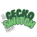 Gecko Experiment-Rooms