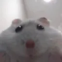 우유보다 노잼일시 사형