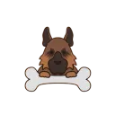 DogzApp