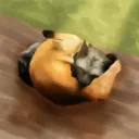 The Foxden