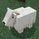 Goated SMP┊Minecraft