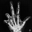 The Cathedral Discord server icon