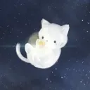 Meow&Co ୨ৎ banner