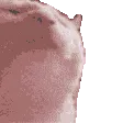Hack server | HCKS