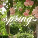 ✿　　౨౿　spring !﹒social﹒events﹒vc﹒emotes﹒friends ︵