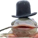 TheConquix