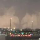 Paws & Maws Midwest Furries Discord server icon