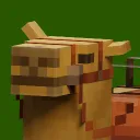 MINECRAFT TEAM