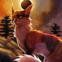 Warrior Cat: RP