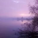 ౿ ݁  .  Mist ︵   ｡ Ꮺ ˚
