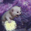 PANDO