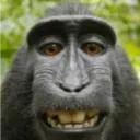 THE MONKEHS™ Discord server icon