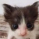 twink squad ( ⭑•̀ᴗ•́ )✧