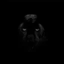 Private Chatter Discord server icon