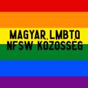 Magyar LMBTQ NFSW Közösség