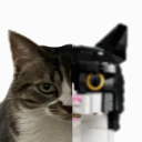 Just A Lego Cat
