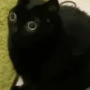 🎩DaGanglyGhoul's Auditorium🎩