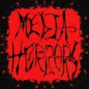 Media Horrors Official server (shot dead at the bronx)