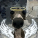 ⋆˚࿔ᝰ 𝐃𝐢𝐬𝐜𝐨𝐮𝐧𝐭 𝐚𝐧𝐠𝐞𝐥𝐬 .ᐟ Discord server icon