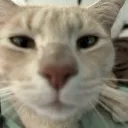 𝐃𝐄𝐉𝐈’𝐒 𝐑𝐎𝐎𝐌